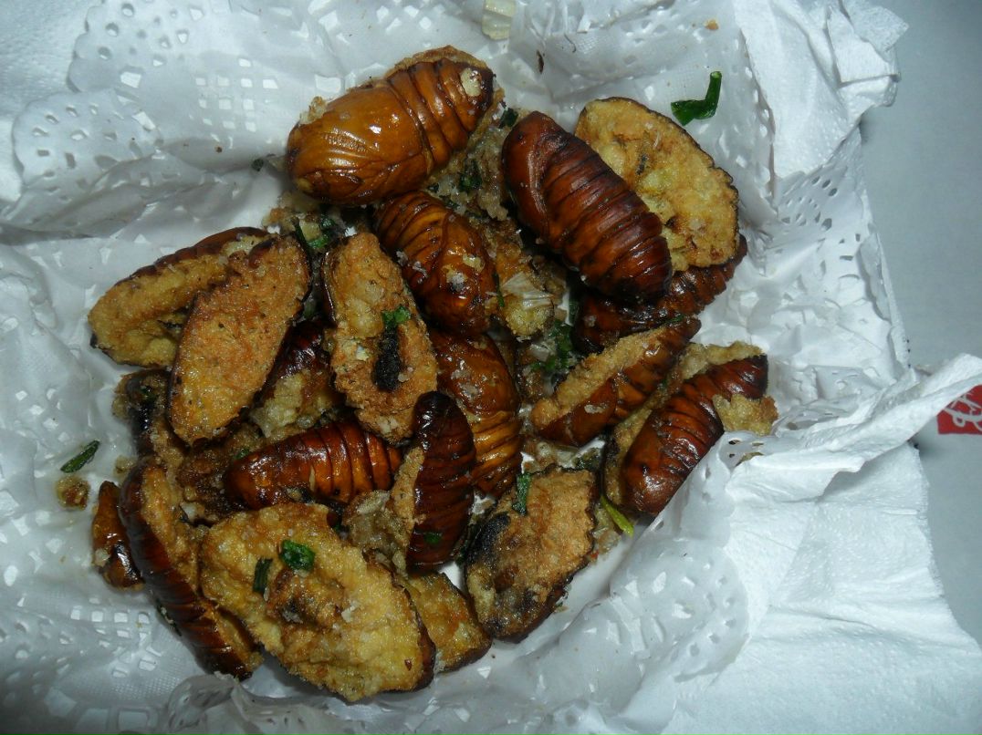 Светлана Клычникова | Сургут (поселок)