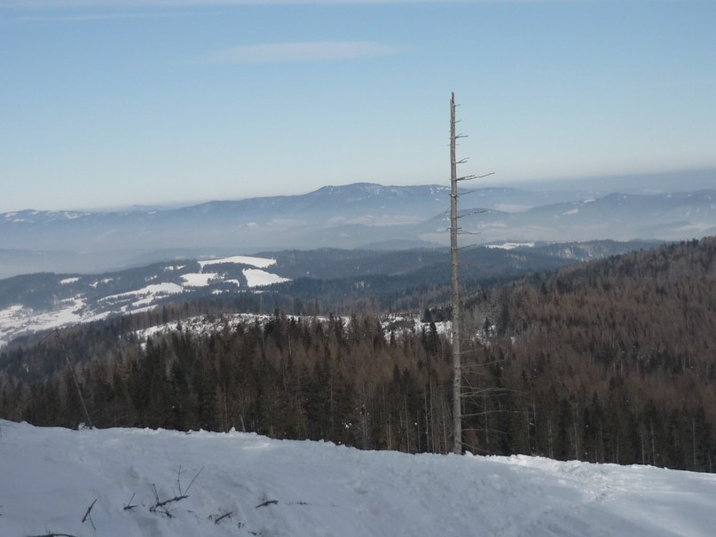 Олежек Гордеев | Москва
