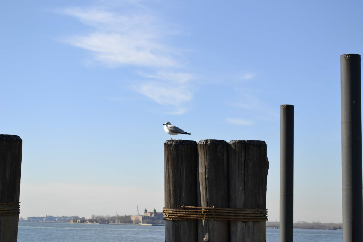 Inna Chubatenko Cote d'Azur | 