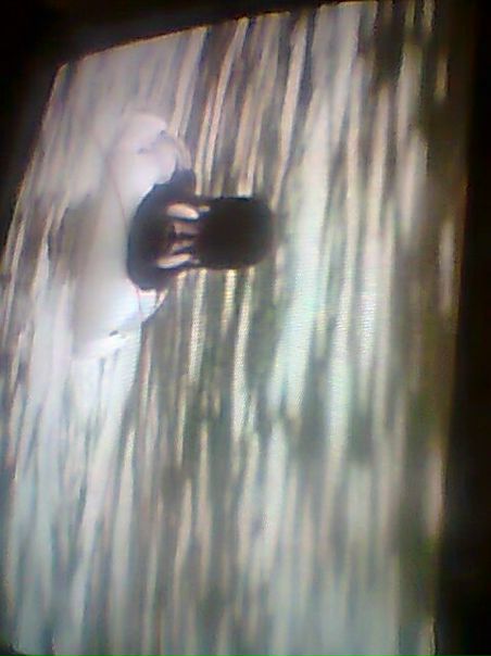 №18, Татьяна Хамидулина-Кондратьева №18, Татьяна Хамидулина-Кондратьева