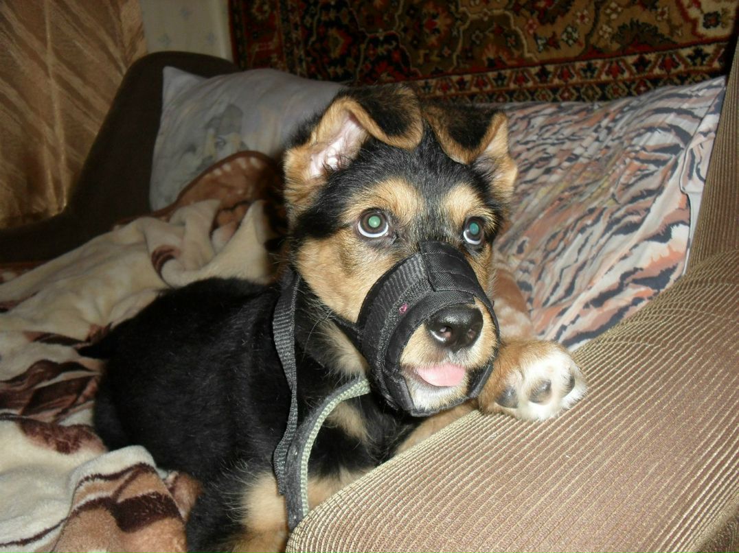 Виталия Кононова | Видное