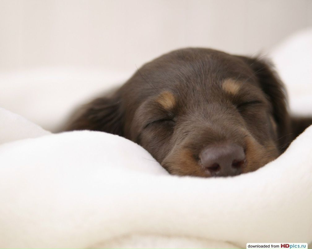 Дьулустан Бысыин | Екатеринбург