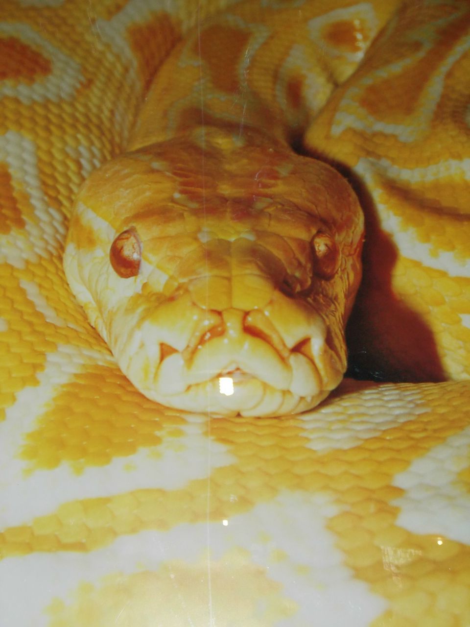 Иван Шабловский В@ня | Екатеринбург