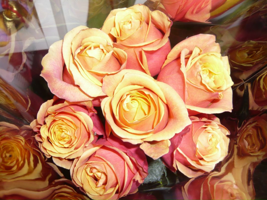 Софья Бут | Москва