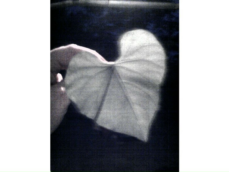 Виктория Бровко | Запорожье