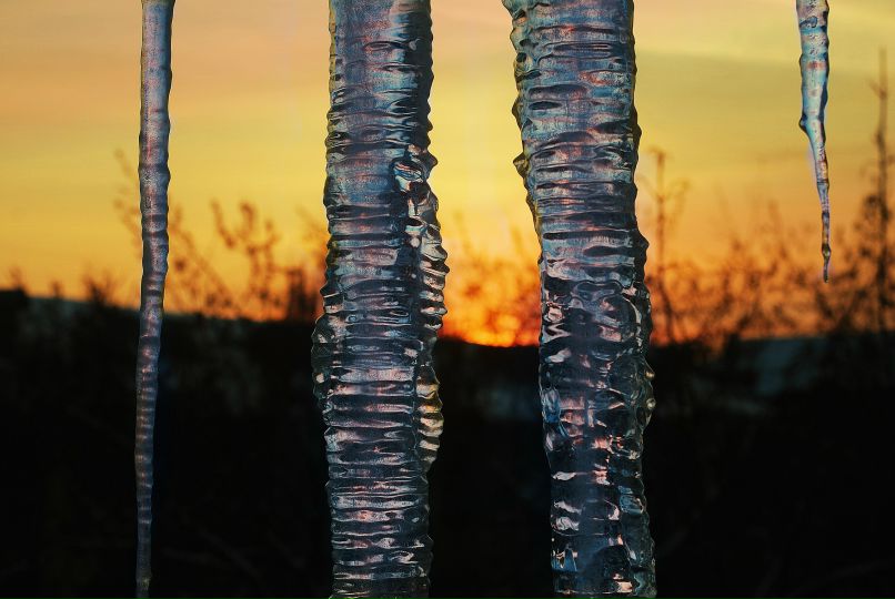 Fertility Hollis | Киев