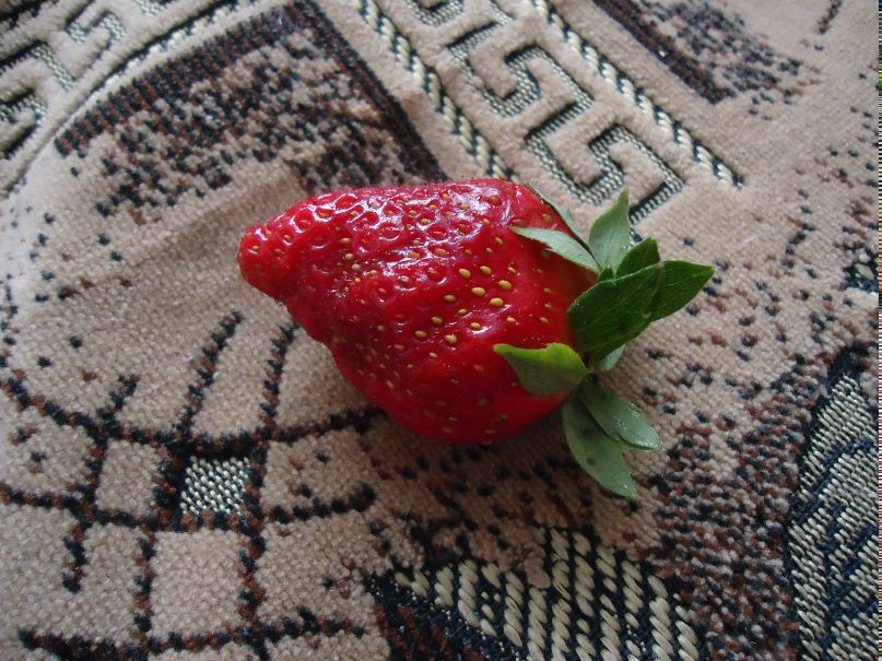Юлия Майзингер | Магнитогорск