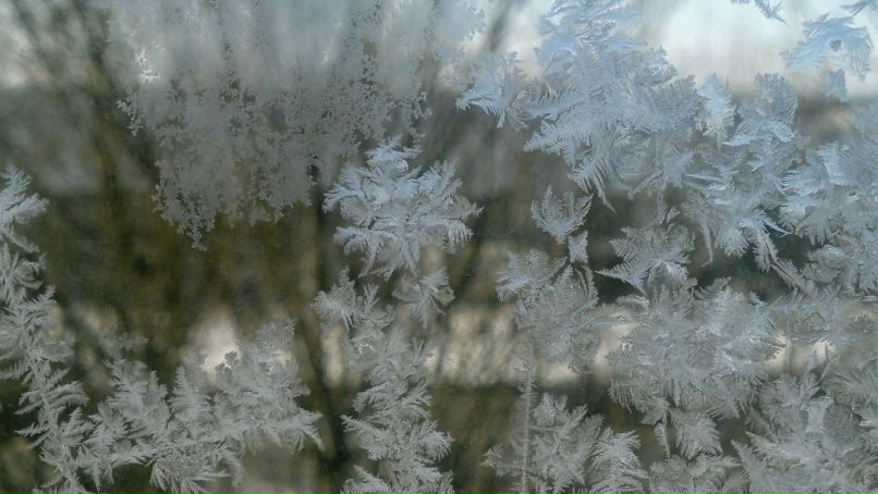 Алина Асадулина | 