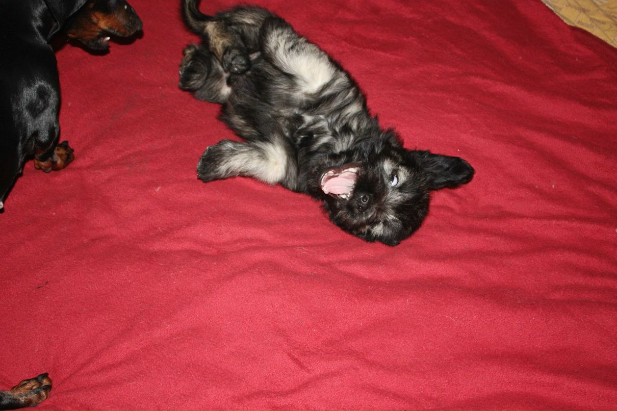 Ангелина Сартакова | Санкт-Петербург