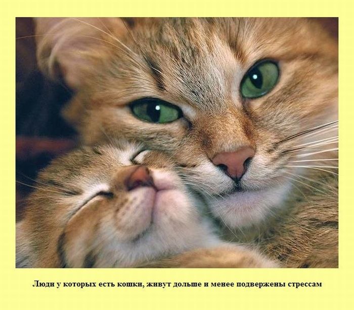 Олег Кравец Александрович | 