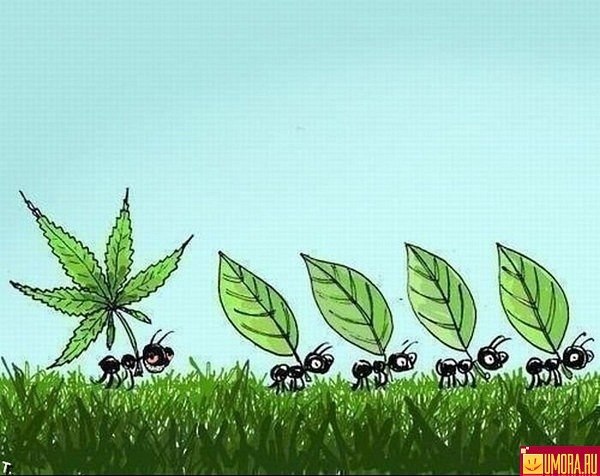 Денис Алексеев <<< DION >>> | Кировск