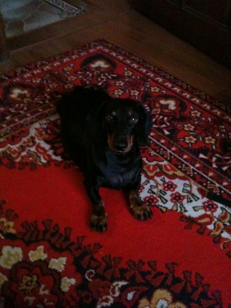 №13, Сергей Костюлин №13, Сергей Костюлин