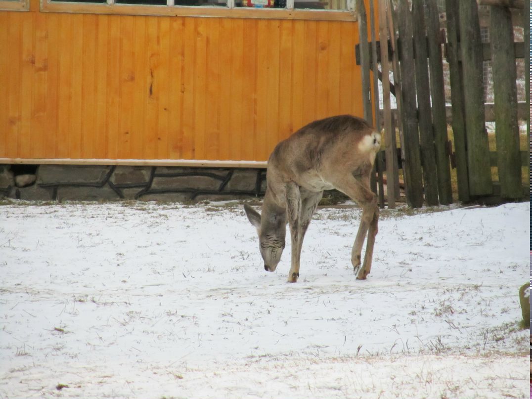 Андрій Кравчук AngeLiusK | Warszawa