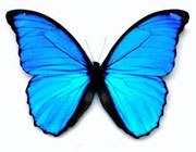 Regina Kurgalina .•°*”˜˜”*°•♥` | Днепр (Днепропетровск)