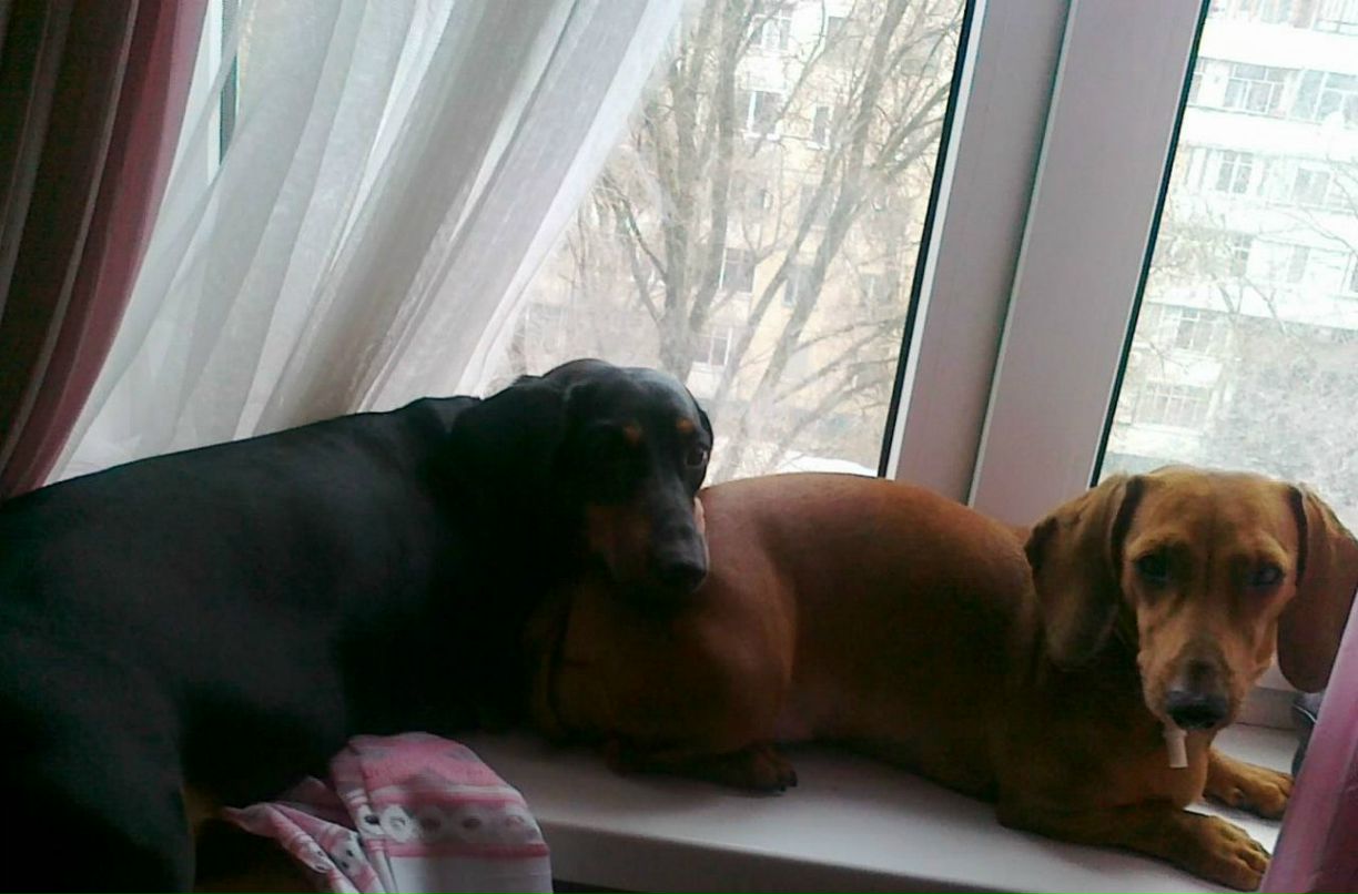 Марина Изюмченко | Днепр (Днепропетровск)