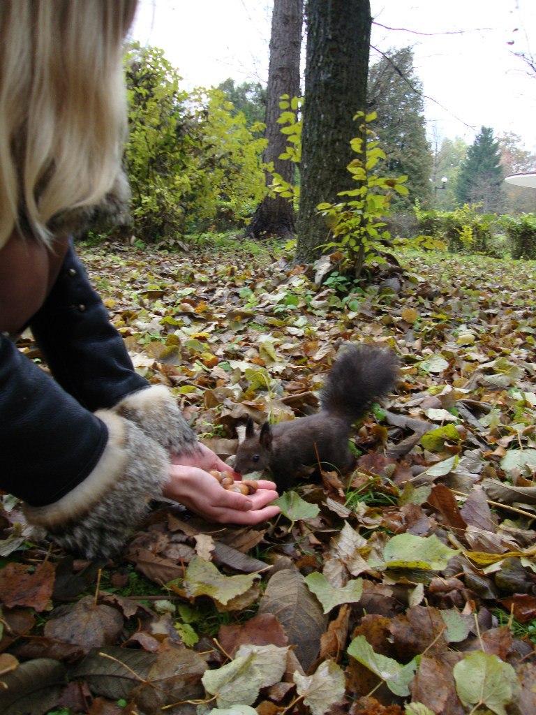 Надежда Волосковец | Бровары