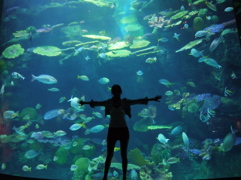 Ахана Фелихавна | Москва