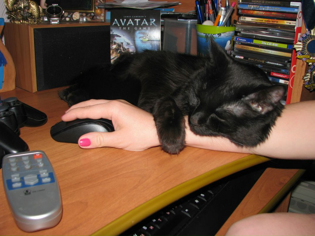 Лена Анипченко Мося | Сургут