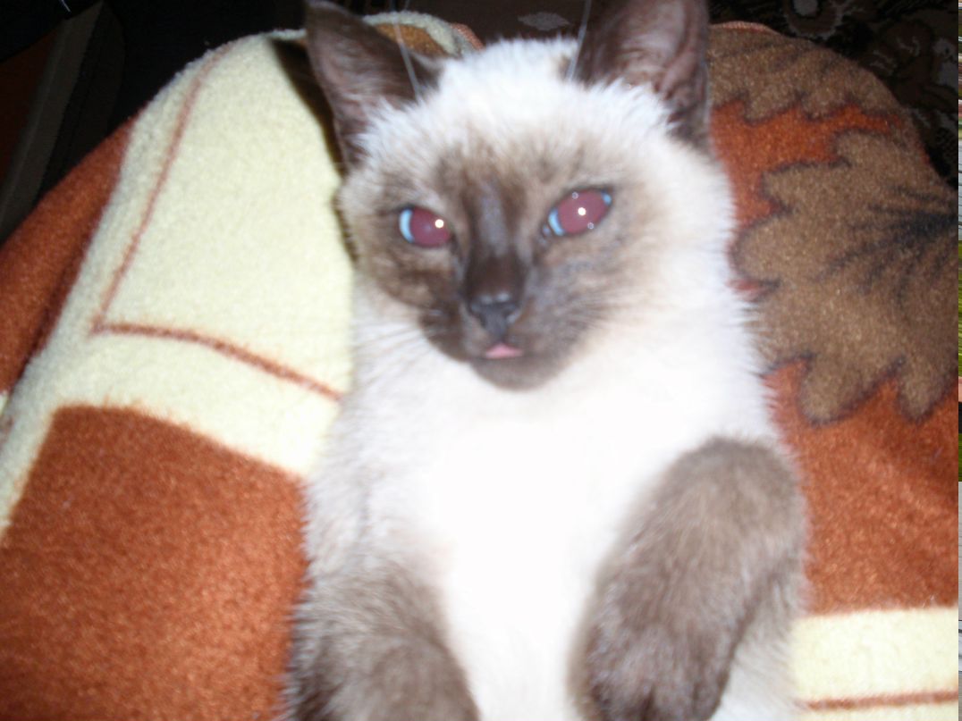 Дмитрий Ковтун | Тбилиси