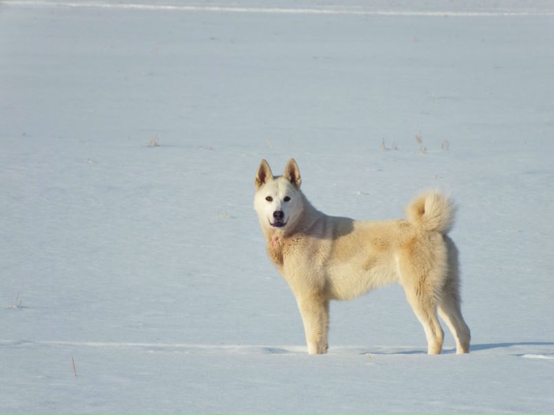 Юрий Тулупов | Тюмень