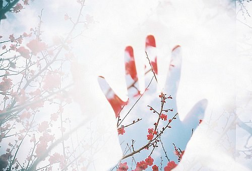 Дарина Левина Moon Reign | Санкт-Петербург