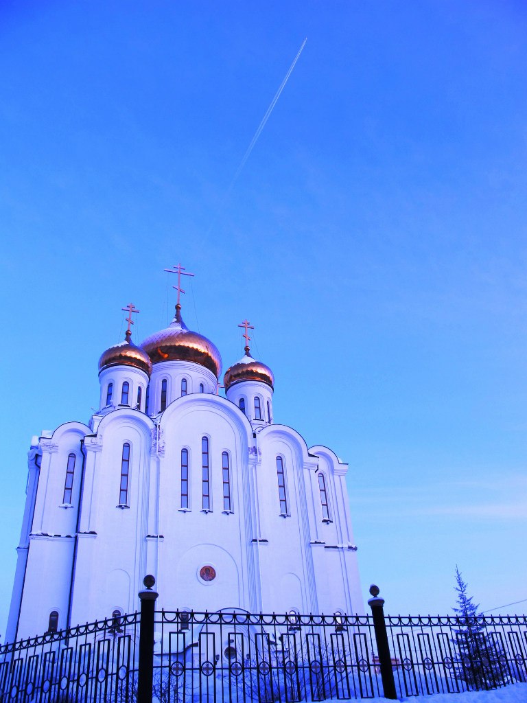 Надежда Боркова | 