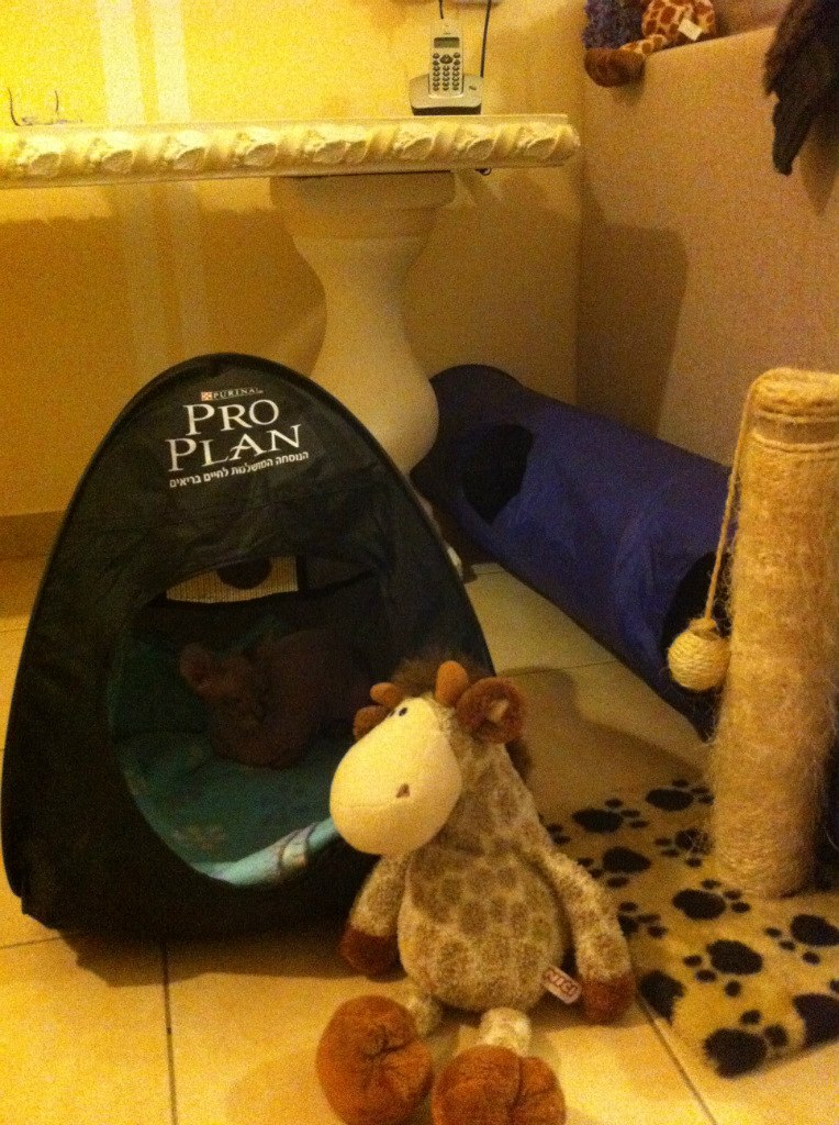 Ольга Черевко | Тель-Авив