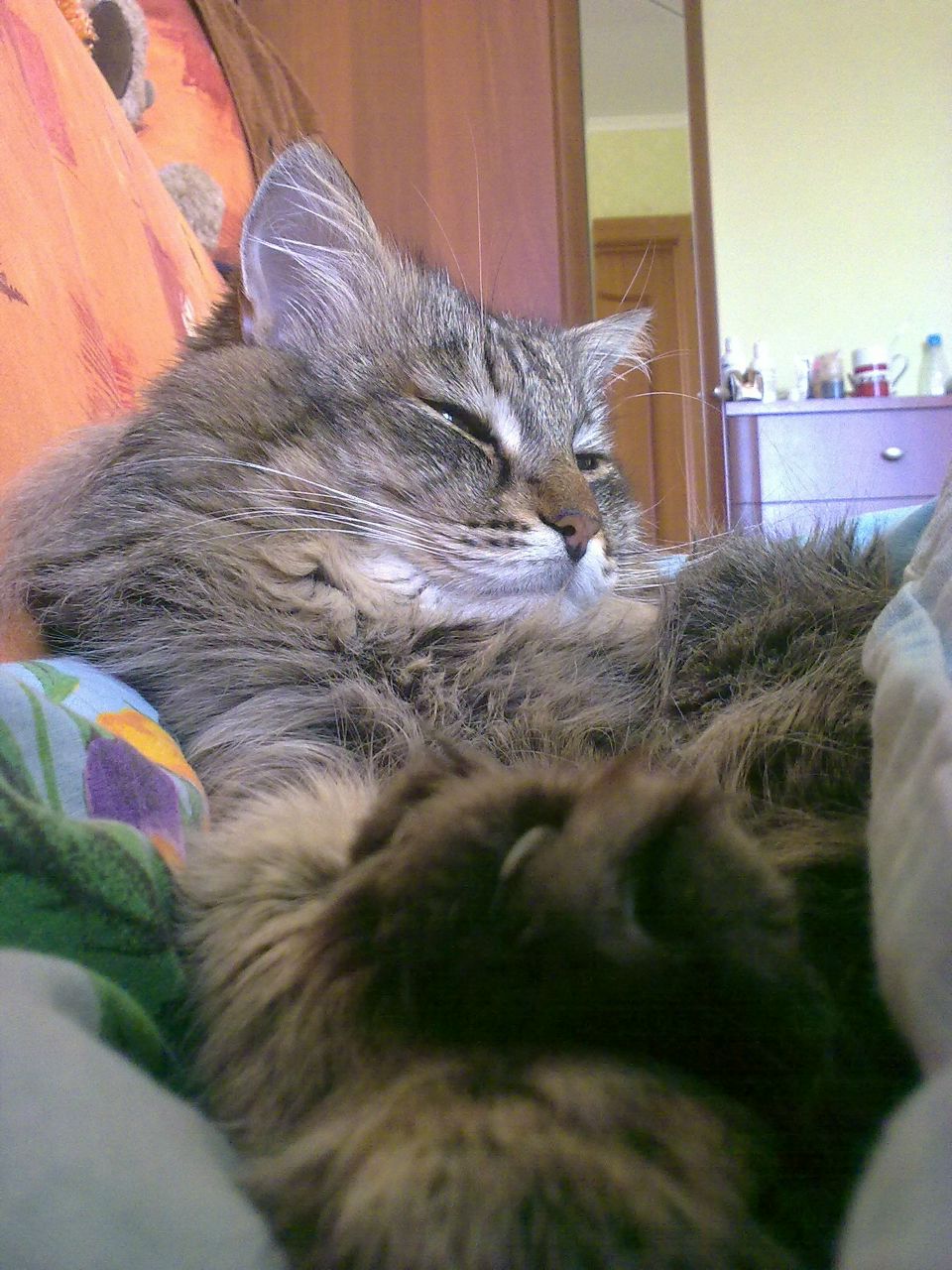 Юлия Розманова | Тюмень