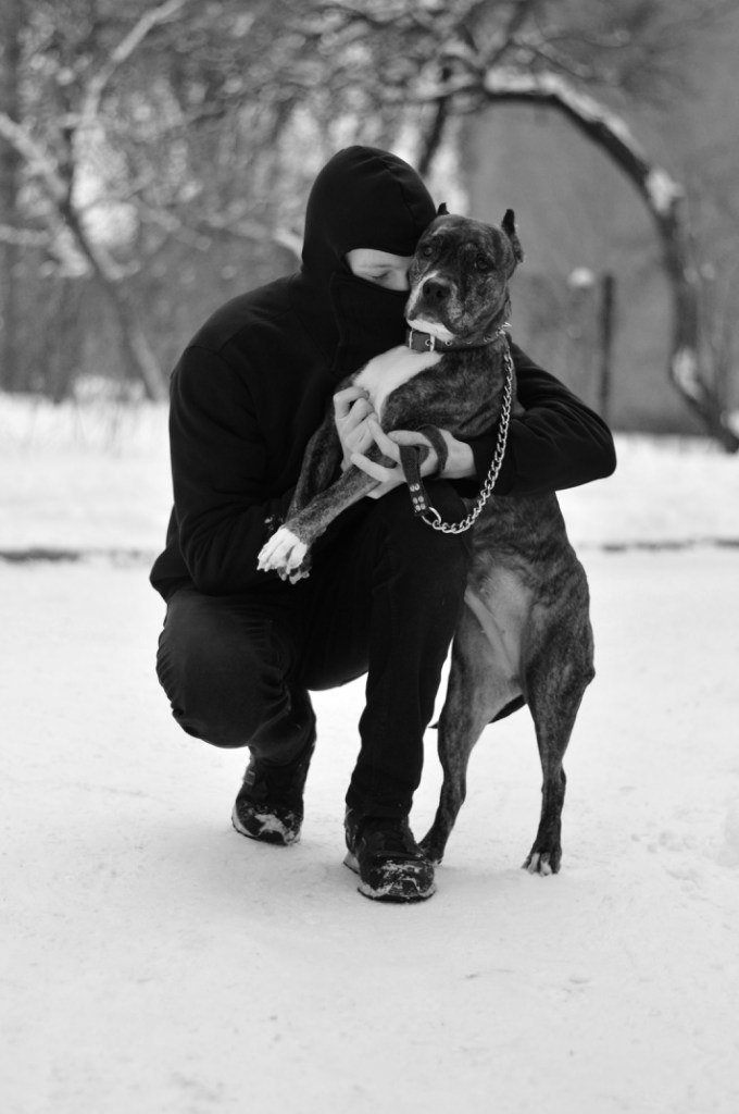 Александр Караев | Николаев