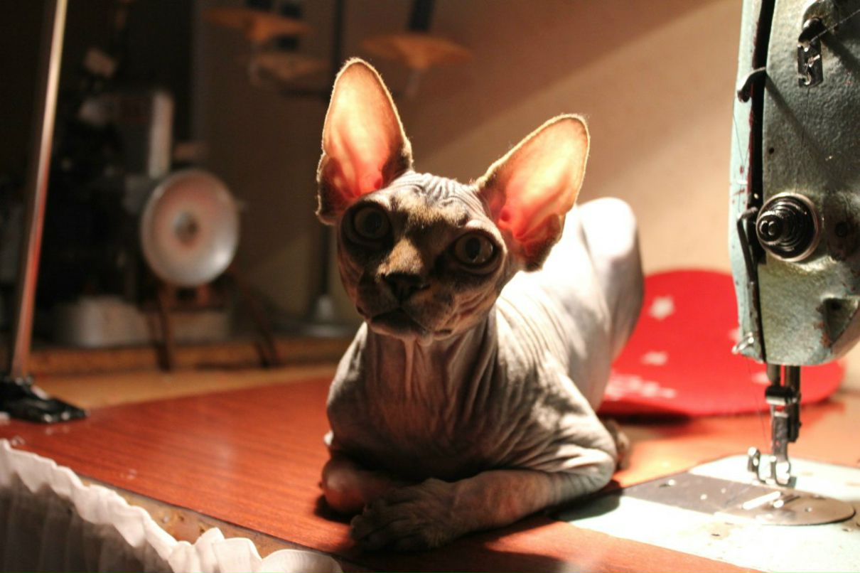 Любовь Селихова | Москва