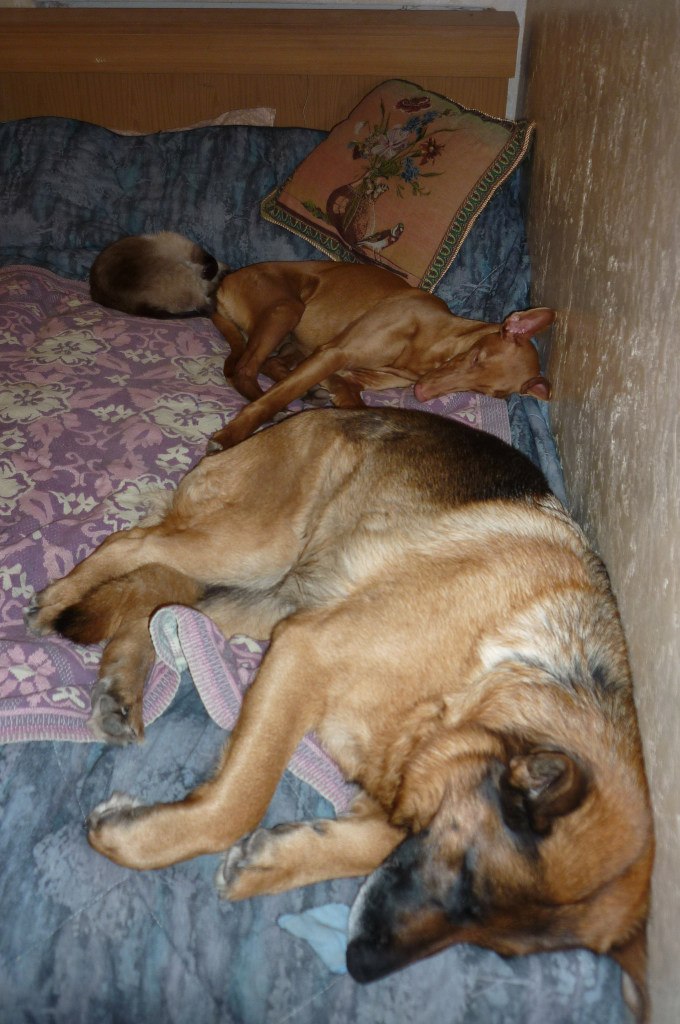 Татьяна Каволина | Санкт-Петербург