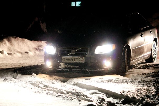 Елена Минутина Владимировна | Санкт-Петербург