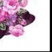 Маргарита Бутавко фотография #23