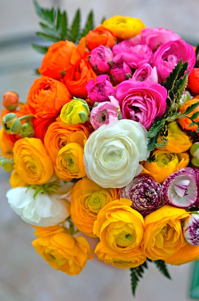 Алина Камергоева | 