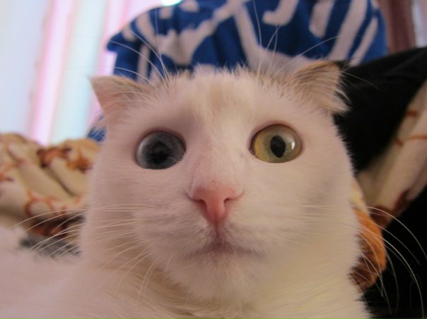 №26, Маша Крюкова, 40 лет, Николаев №26, Маша Крюкова, 40 лет, Николаев