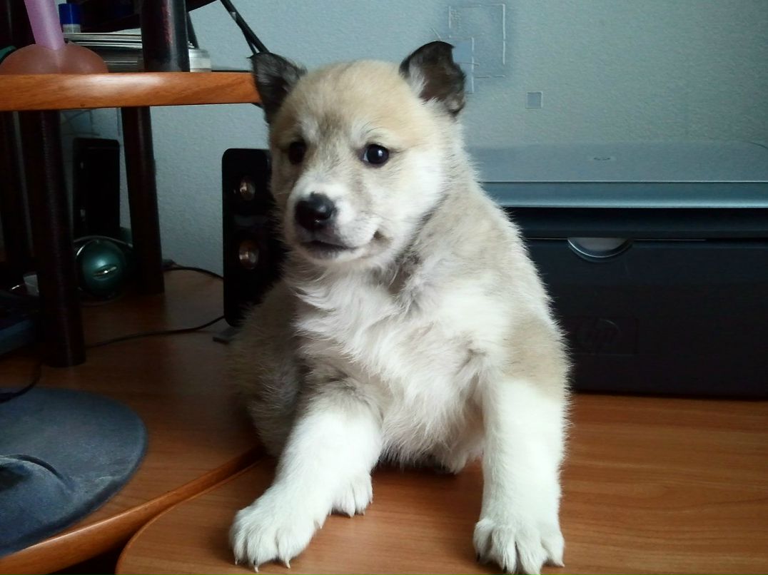 Виктор Ибрагимов Plyt | Уфа