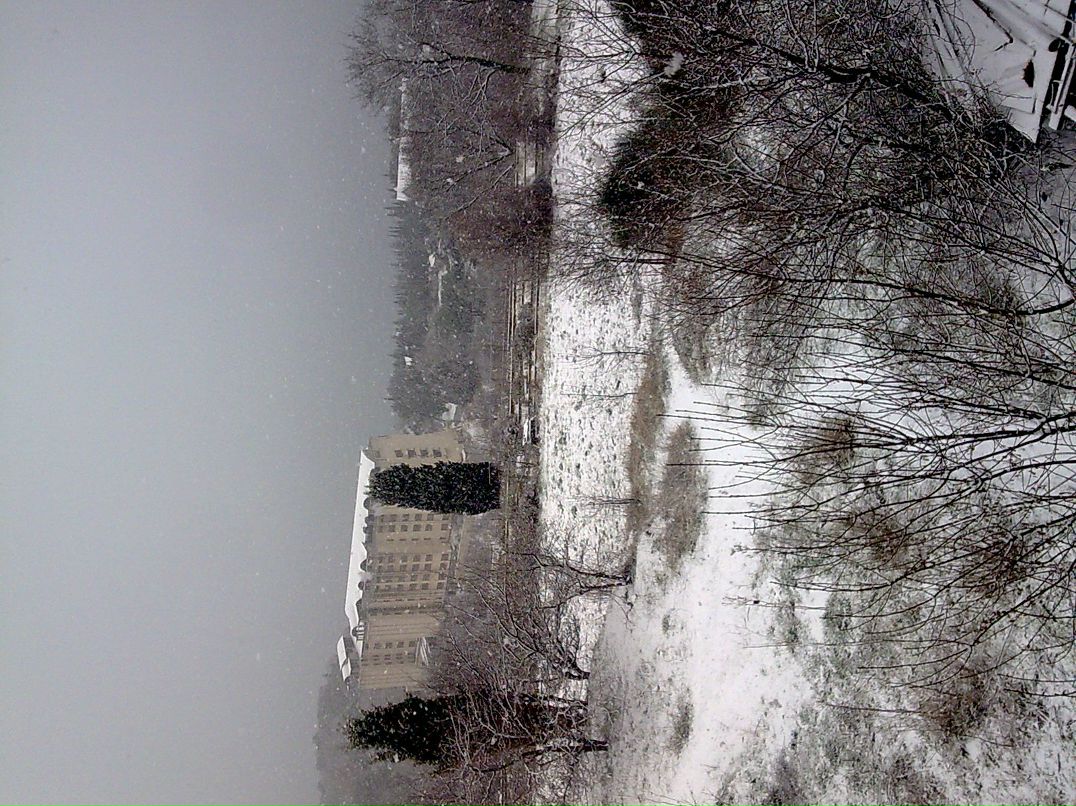 Олег Дедюлин | 