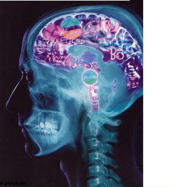 №51, Бодя Волуйко, Киев №51, Бодя Волуйко, Киев