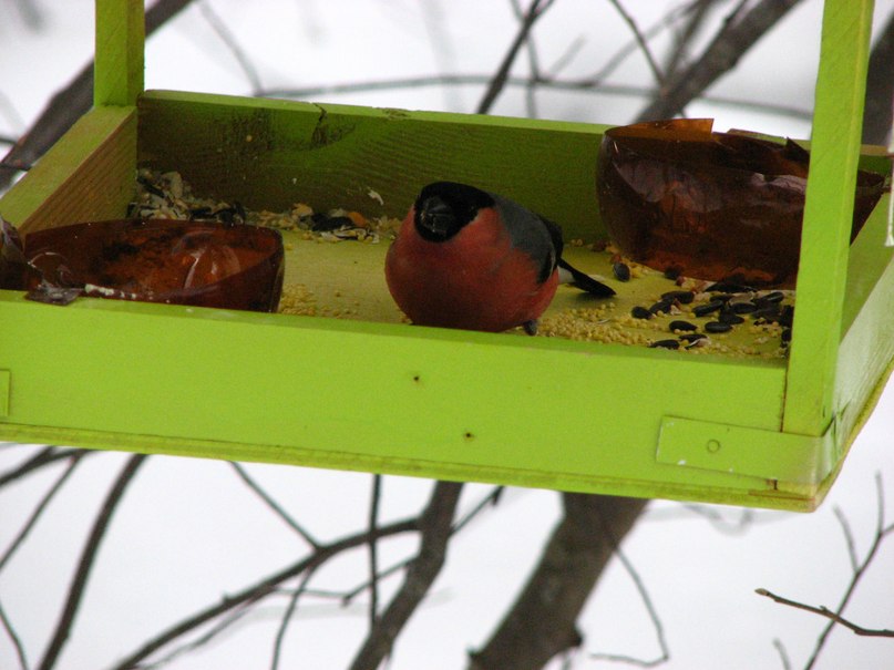 Наталья Горбунова | Красноярск