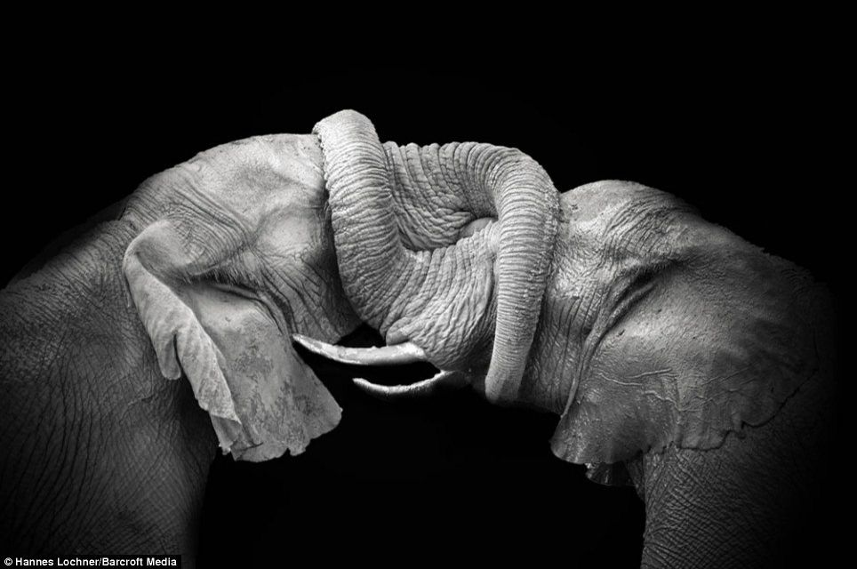 Ксюшенц Баженова | Нижний Новгород