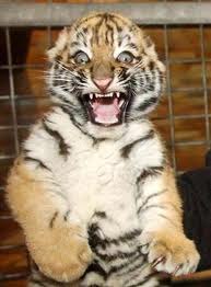 Виталий Власенко ***ГРАФ*** | Киев