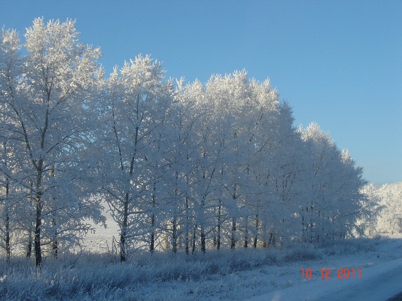 Сергей Русаленко | Дивногорск