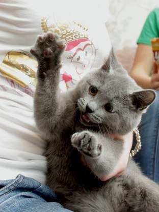 Анастасия Ганиман | Барнаул