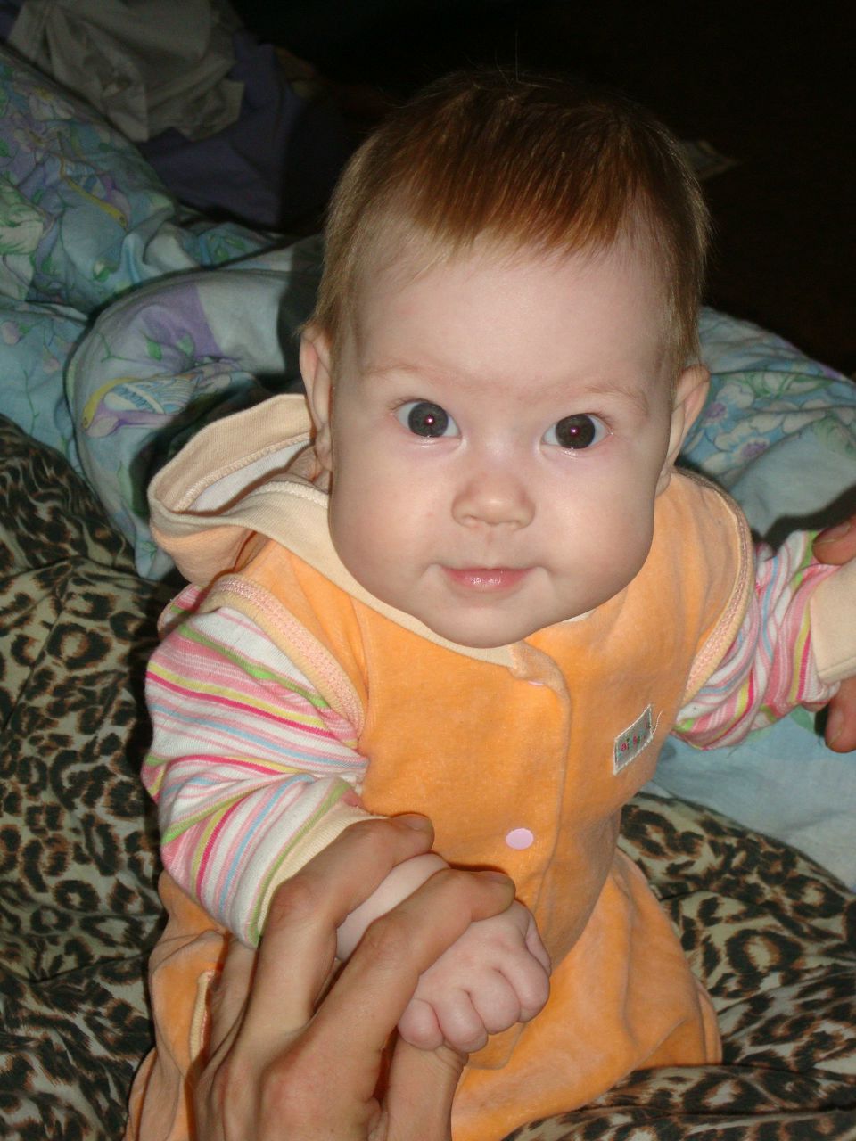 Анна Лисичкина | Санкт-Петербург