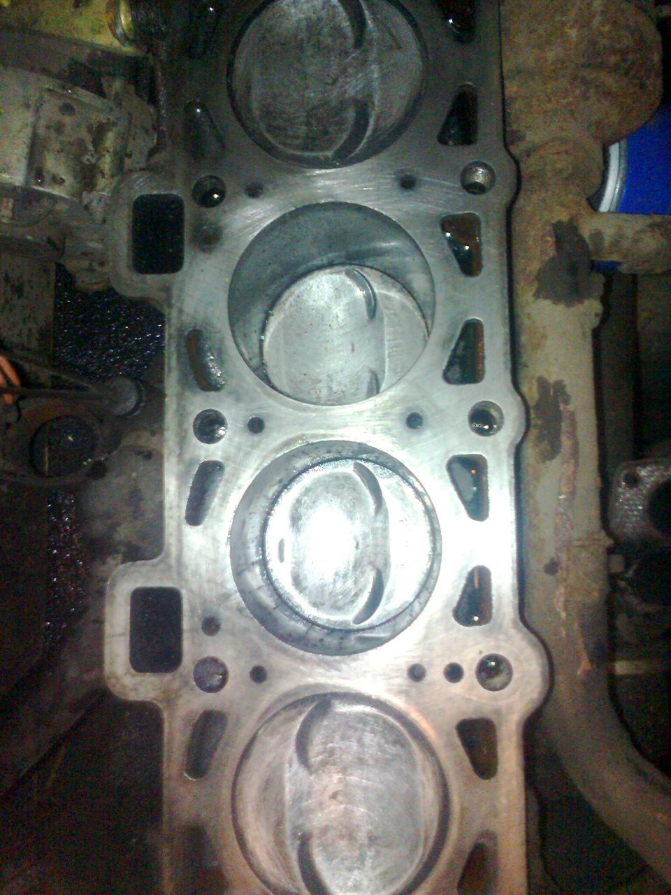 Александр Скворцов МОТО | Выборг