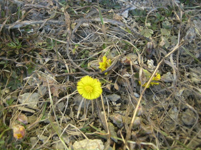 Юлия Виноградова | Санкт-Петербург