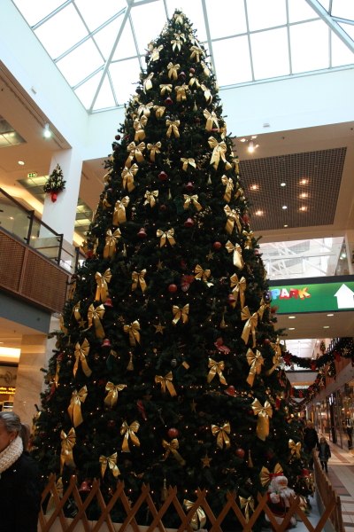 Igor Migunov | Иерусалим