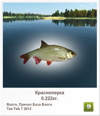 Лина Никифорова | Челябинск