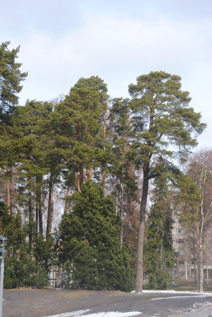 Ника Андреева | Москва
