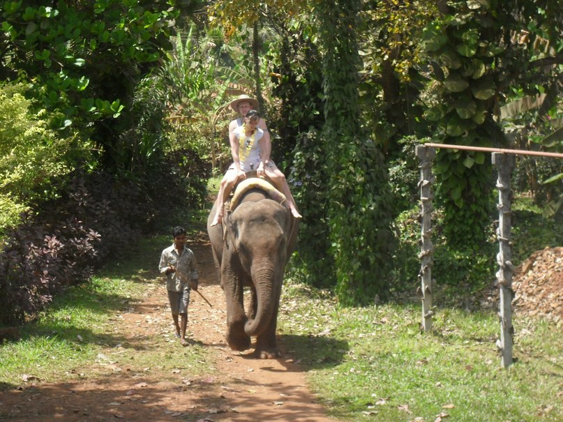 Алла Корнева | Нижний Новгород